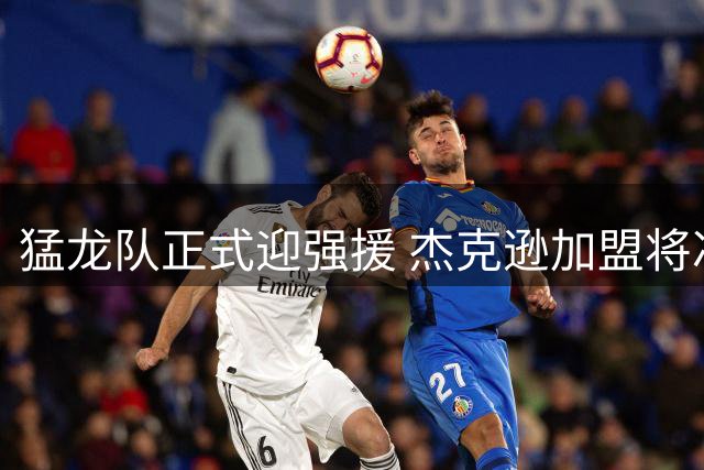 猛龙队正式迎强援 杰克逊加盟将冲击球队轮换阵容