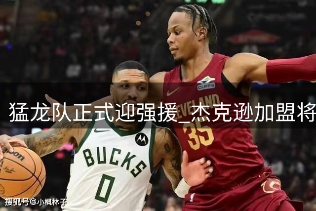 猛龙队正式迎强援 杰克逊加盟将冲击球队轮换阵容