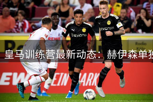 皇马训练营最新动态：赫伊森单独加练 四大主力康复进展引关注